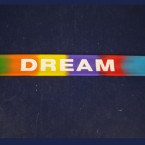 9" Multi Color Silicone Slap Bracelet DREAM  ""ON SALE""